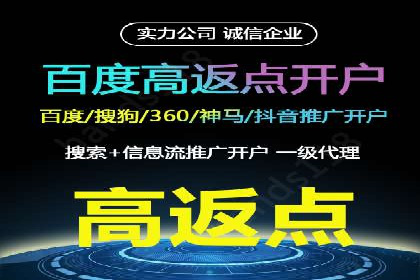 SEM服务公司经典案例集锦